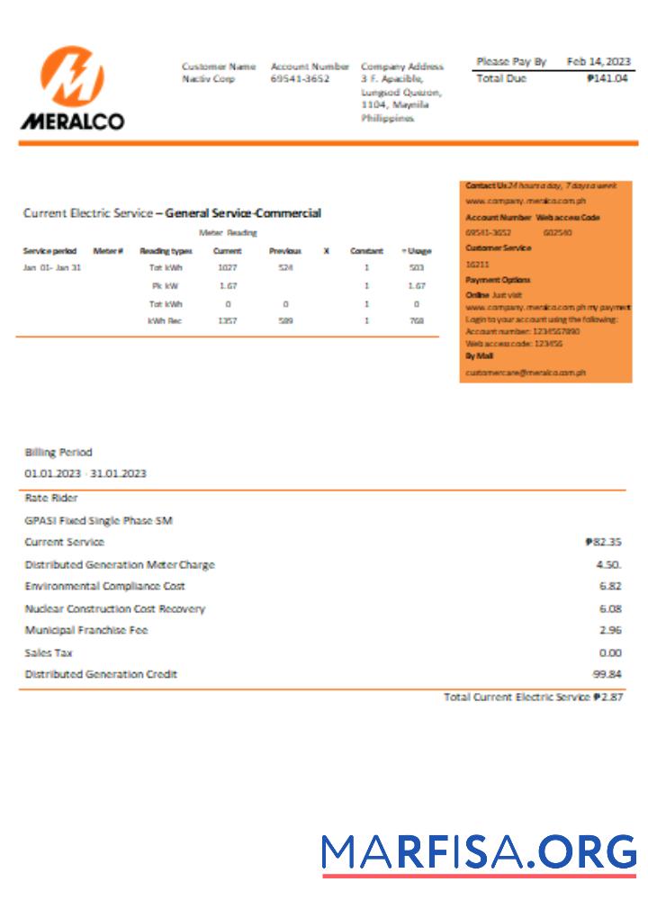 Blank Manila Electric Company (Meralco) electricity utility business bill SCR example